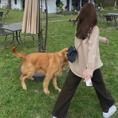 打更人怪谈